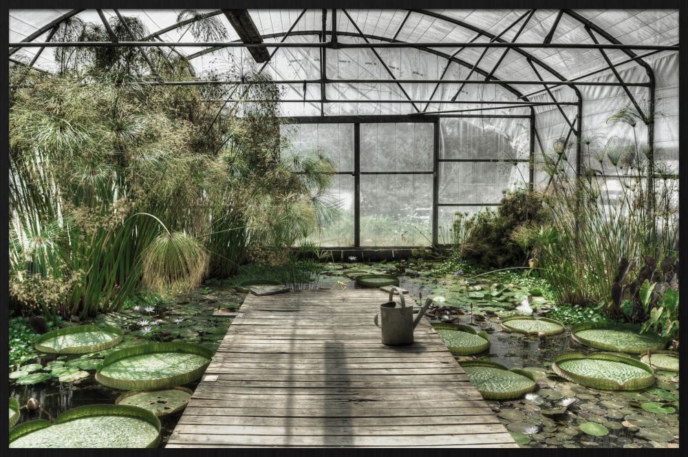 Botanical Stories 014 Walldecoration Wandkraft 148x98 cm