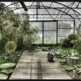 Botanical Stories 014 Walldecoration Wandkraft 148x98 cm Forex Houten lijst zwart
