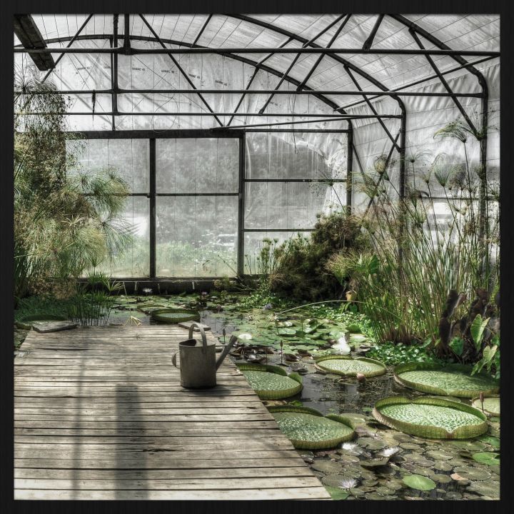 Botanical Stories 014 Walldecoration Wandkraft 74x74 cm Forex Houten lijst zwart