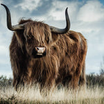 European Wildlife 008 Walldecoration Wandkraft 118x70 cm Dibond Blind kunststof ophangsysteem