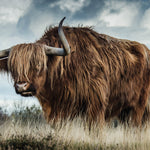European Wildlife 009 Walldecoration Wandkraft 118x70 cm