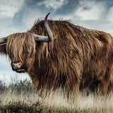 European Wildlife 009 Walldecoration Wandkraft 118x70 cm