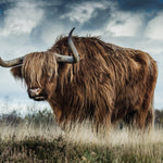 European Wildlife 009 Walldecoration Wandkraft 148x98 cm