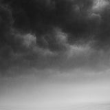 White Passage - zwart-wit dierportret, Wandkraft