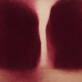 Wine Shadow - abstract bordeauxrood kunstwerk wanddecoratie