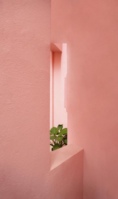 Roze muur met een klein raam dat groene bladeren onthult.